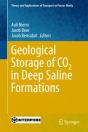 Geological Storage Of Co2 In Deep Saline Formations - Preview