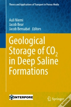 Capa do artigo Geological Storage Of Co2 In Deep Saline Formations