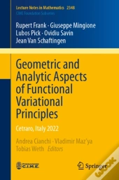 Geometric And Analytic Aspects Of Functional Variational Principles
