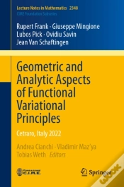 Capa do artigo Geometric And Analytic Aspects Of Functional Variational Principles
