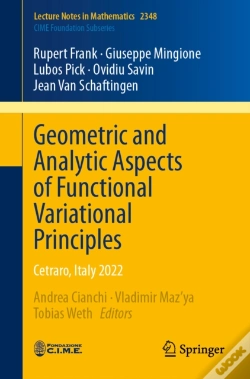 Capa do artigo Geometric And Analytic Aspects Of Functional Variational Principles