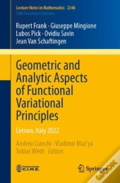 Geometric And Analytic Aspects Of Functional Variational Principles
