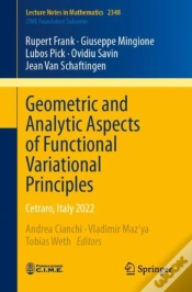 Capa do artigo Geometric And Analytic Aspects Of Functional Variational Principles