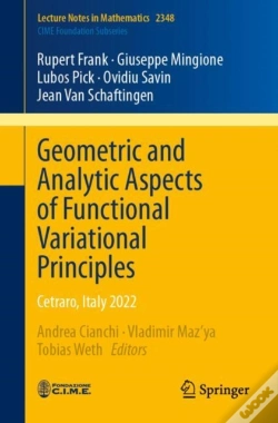 Capa do artigo Geometric And Analytic Aspects Of Functional Variational Principles
