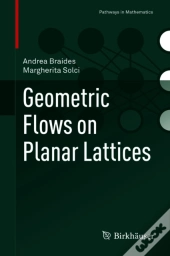 Geometric Flows On Planar Lattices
