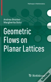 Capa do artigo Geometric Flows On Planar Lattices