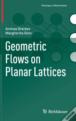 Capa do artigo Geometric Flows On Planar Lattices