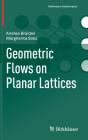 Geometric Flows On Planar Lattices - Preview