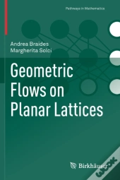 Geometric Flows On Planar Lattices