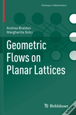 Capa do artigo Geometric Flows On Planar Lattices