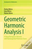 Geometric Harmonic Analysis I