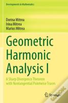 Geometric Harmonic Analysis I