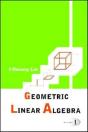 Geometric Linear Algebra (Volume 1) - Preview