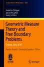 Geometric Measure Theory And Free Boundary Problems - Preview