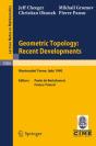 Geometric Topology: Recent Developments - Preview