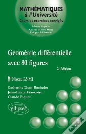 Géométrie Différentielle Avec 80 Figures - Niveau L3-M1 - 2e Édition