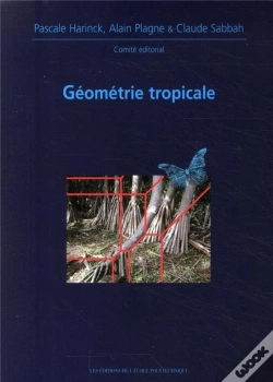 Capa do artigo Géometrie Tropicale ; Journées Mathématiques