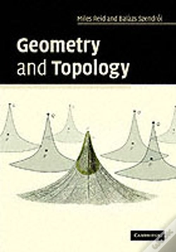 Capa do artigo Geometry And Topology