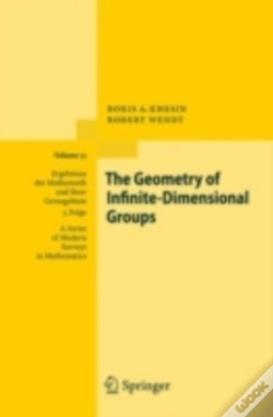 Capa do artigo Geometry Of Infinite-Dimensional Groups