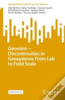 Geomintâ€”Discontinuities In Geosystems From Lab To Field Scale