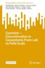 Geomintâ€”Discontinuities In Geosystems From Lab To Field Scale - Preview