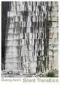 Georg Aerni Silent Transition /Anglais/Allemand - Preview