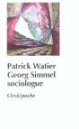 Georg Simmel Sociologue - Preview