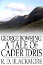 George Bowring: A Tale Of Cader Idris - Preview
