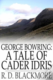 Capa do artigo George Bowring: A Tale Of Cader Idris