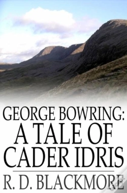 Capa do artigo George Bowring: A Tale Of Cader Idris