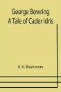 George Bowring - A Tale Of Cader Idris - Preview