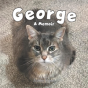 George - Preview