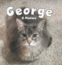 George - Preview
