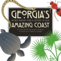 Georgia'S Amazing Coast - Preview