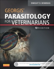 Capa do artigo Georgis