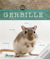 Gerbille