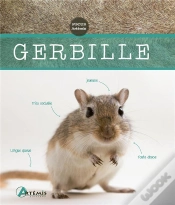 Capa do artigo Gerbille