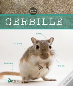 Capa do artigo Gerbille