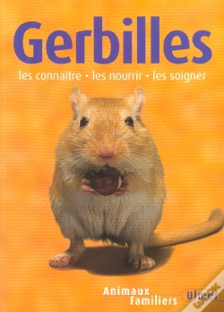 Capa do artigo Gerbilles