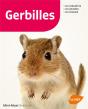 Gerbilles - Preview