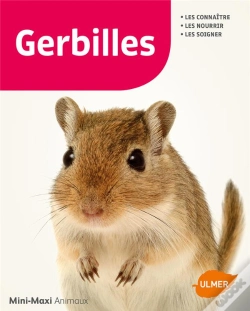 Capa do artigo Gerbilles