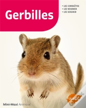 Capa do artigo Gerbilles