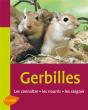 Gerbilles ; Les Connaître, Les Nourri, Les Soigner - Preview