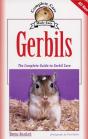 Gerbils - Preview