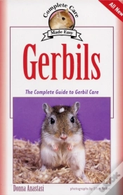 Capa do artigo Gerbils