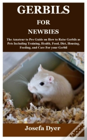 Capa do artigo Gerbils For Newbies