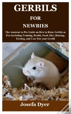 Capa do artigo Gerbils For Newbies