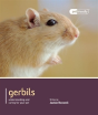 Gerbils - Preview