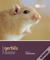 Gerbils
