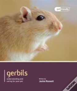 Capa do artigo Gerbils